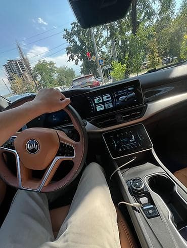 электромобиль w6: Weltmeister W6, 2021 г., 80000 км — 6