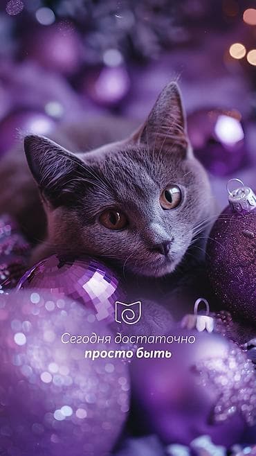 комна: Срочно требуется особняк или здание под действующую школу Минимум 10 — 1