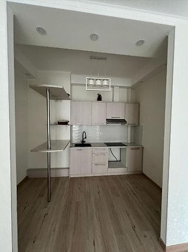 куплю квартиру бишкек южный: 2 комнаты, 65 м², Элитка, 4 этаж — 4