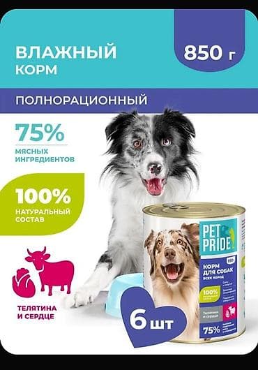 Корм для собак Влажный,вес одной банки 850 грамм чистого at lalafo.kg Корм для собак Влажный,вес одной банки 850 грамм чистого