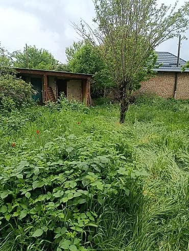дом кунту: ПРОДАЕТСЯ ДОМ село Күн-Туу, 2 линия от центральной трассы, рядом — 9