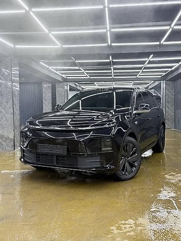 bew e39: Lixiang L6: 2025 г., Электромобиль, Кроссовер — 8