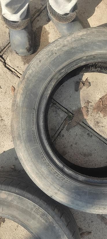 титановые диски спринтер: Шины 175 / 65 / R 14, Лето, Пара, Легковые, Bridgestone — 4