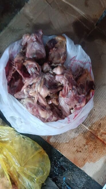 продам яйца: Бройлер :, Более 10 кг, Самовывоз, Бесплатная доставка, Платная доставка — 4