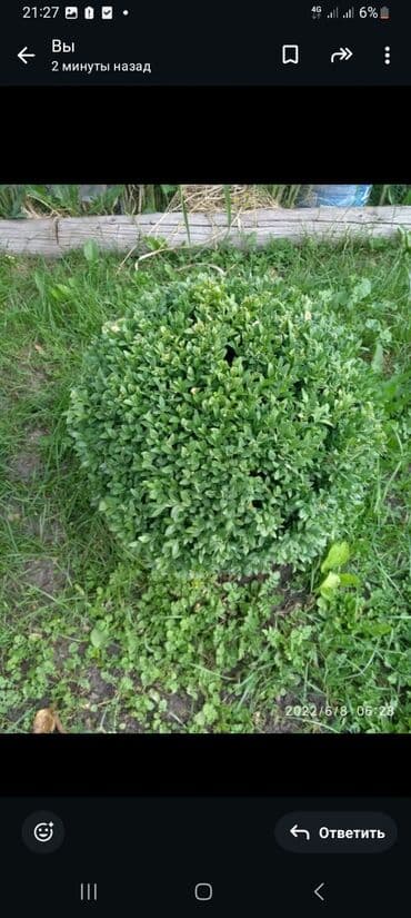 сушилка для белья электрическая бишкек: Башка хозтоварлар — 2