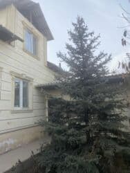 Сниму дом: Дом, 101 м², 3 комнаты, Риэлтор, Евроремонт — 1