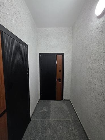 43: 1 комната, 43 м², Таатан ТЦ Элитка, 1 этаж, ПСО (под самоотделку) — 2