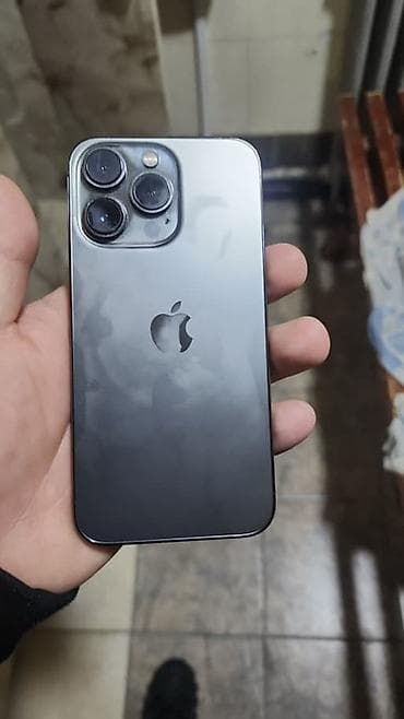 IPhone 13 Pro, Графит