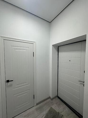 40: 1 комната, 40 м², Аламедин-1 мкр Элитка, 6 этаж, Евроремонт — 2