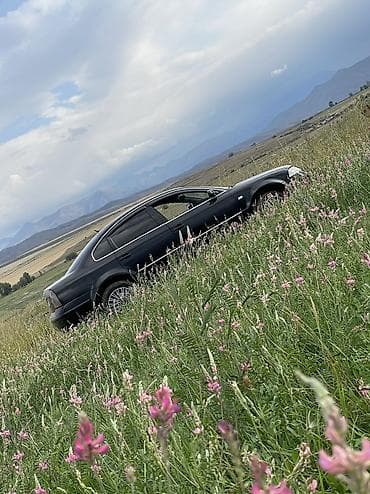 лабовой стикло: Volkswagen Passat: 2001 г., 1.8 л, Механика, Бензин, Седан — 5