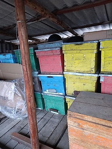 Ящики: Деревянный Ящик — 2