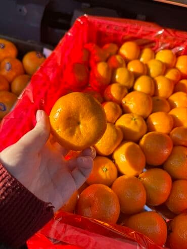 ель голубая цена: Мандарины — 5