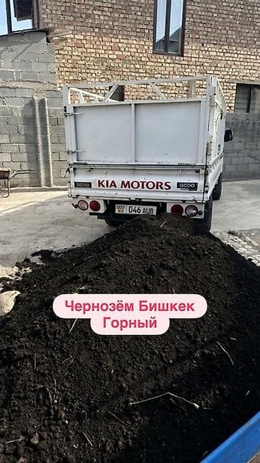 Портер