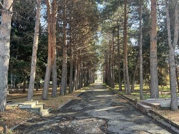 una laguna иссык куль: Батир, | Кыргызское взморье, Бостери, Бассейн, Бильярд, Коргоодогу аймак — 14