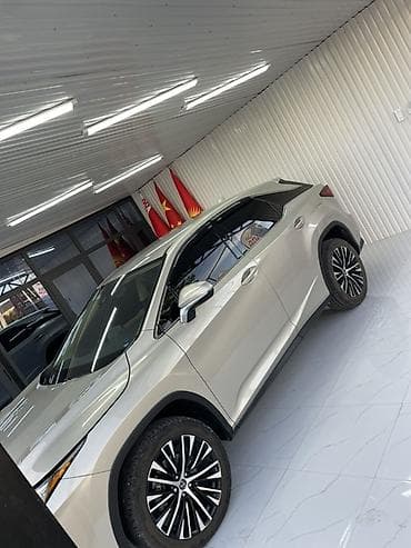 для круп: Lexus RX: 2020 г., 3.5 л, Автомат, Бензин, Кроссовер — 4