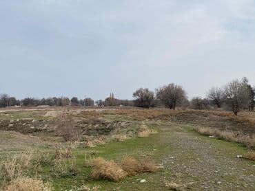 кызыл аскер продажа домов: 1000 соток, Для сельского хозяйства, Красная книга, Договор купли-продажи — 4