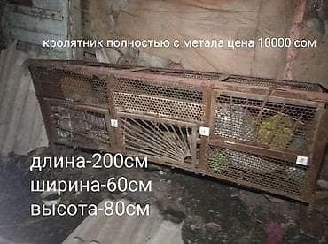 Продам с/х животных: Продаю | Крольчиха (самка), Крольчата, Кролик самец — 5