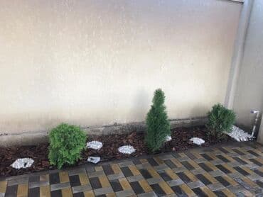 покраска металлических ворот цена: Сеем газон (Подготовка участка,авто полив,ландшафтные работы, вывоз — 24