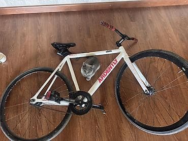 слики: Фикс-байк (fixed gear) ARDENTLY - Рама и вилка: стальная/алюминиевая — 3