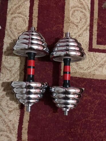 набор гантель в чемодане flexter: Срочна гантел сатам 15+15=30 Алыныт жана кошулат Качество и гарантия — 1