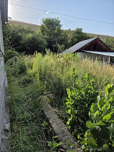 черная речка: Дача у горной реки с собственным выходом к воде,в ущелье гор.От — 9