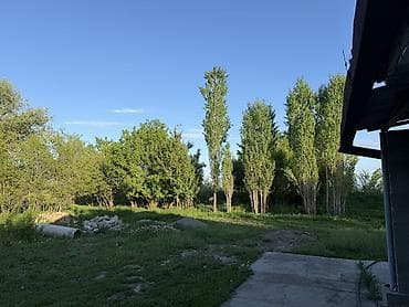 уста каракол: Продаю дом участок 47соток. Отлично подойдет для скотоводства,под — 1