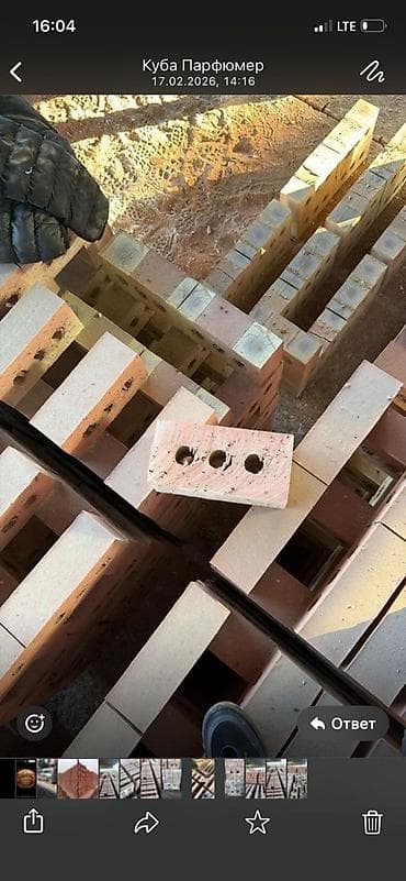 шамо петух: Пустотелый, дырчатый, Жженый кирпич, Одинарный, 250×120×65 — 2