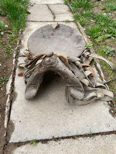 где можно купить молодых кур несушек: Антикварное седло, возраст 150 лет Редкое старинное седло, которое — 2