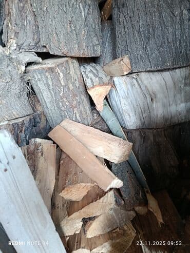 шкаф двустворчатый для одежды: Дрова — 7