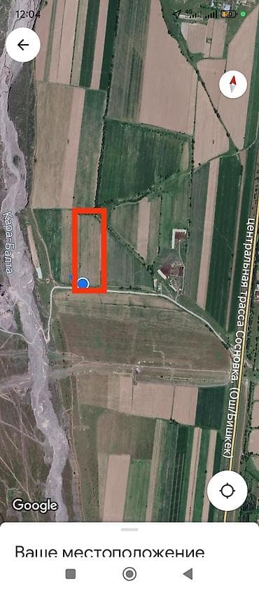 торговый контейнер: 300 соток, Договор купли-продажи, Договор дарения — 2