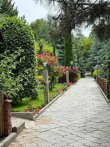 Бөлмөлөр: Иссык-Куль. Солнышко. Чок-Тал. Вип городок.Коттеджи. - Территория — 1