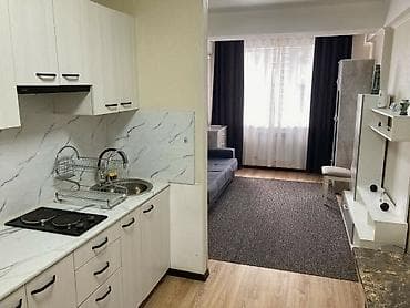 автомо: 1 комната, 27 м², Индивидуалка, 8 этаж, Косметический ремонт — 2