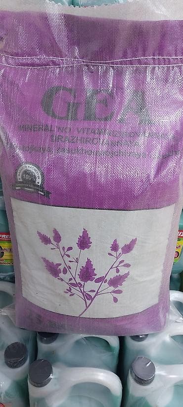 саженцы яблоня: Семена люцерны сорта Багира, упакованные в мешок весом 25 кг. Этот — 4