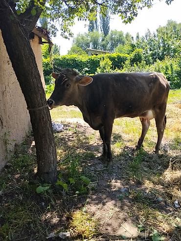 сварка 3 1: Бензопила ЗУБР 7500 - Мощность: 7500 (указано на корпусе). - Тип — 7