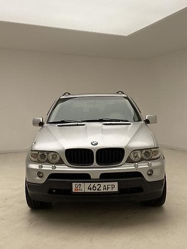BMW X5: 2004 г., 3 л, Автомат, Дизель, Кроссовер