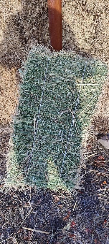 Корма для с/х животных: Беде — 1