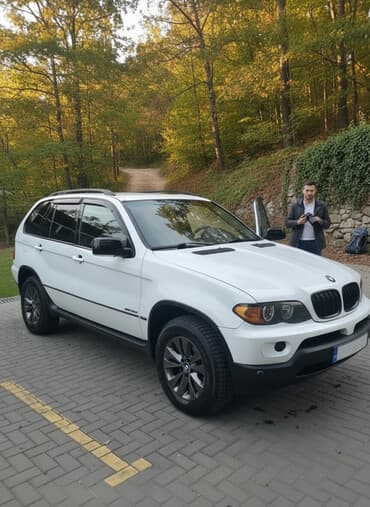 мухабойка гольф 3: BMW X5: 2002 г., 3 л, Автомат, Дизель, Кроссовер — 1