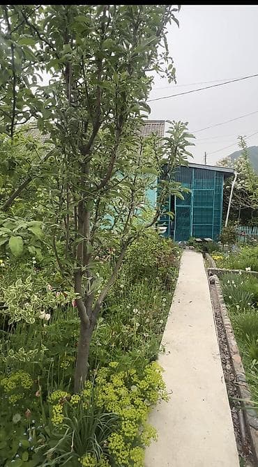 село прохладное бишкек: 5 соток, Для строительства, Красная книга, Тех паспорт, Договор купли-продажи — 2