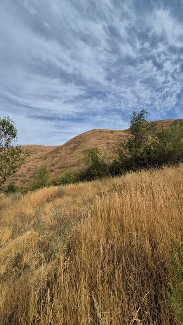 гостевые дома на иссык куле: 5 соток, Для строительства, Красная книга — 2