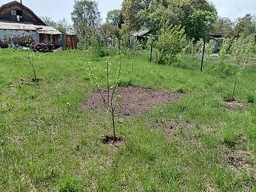 загородный дом для летнего отдыха: Продаётся одноэтажный дом с мансардой и приусадебным участком. - — 8