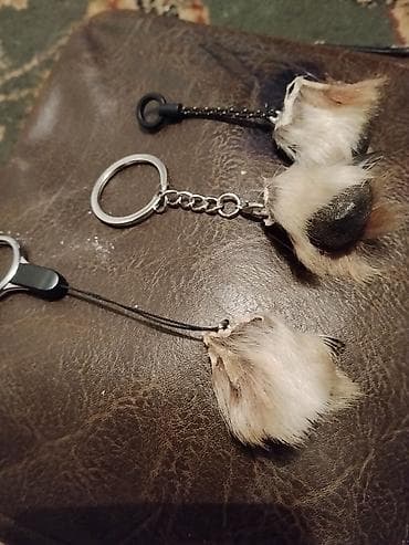 секонд обувь: Брелоки-талисманыиз Волчих зубов коктей,,и альчикоа Состав и — 4