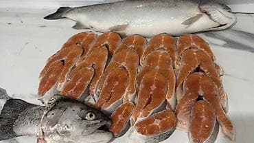 голубцы замороженные купить: Свежемороженная красная форель. - Целая рыба и стейки, аккуратно — 4