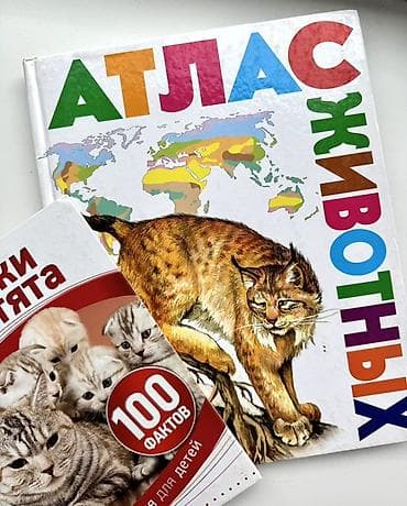 Две книги за 500 
Детские книги