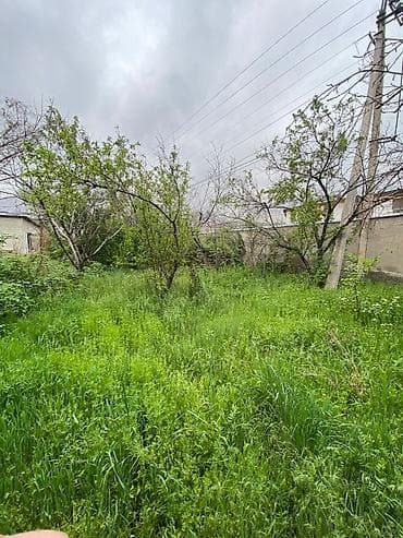 Земельные участки: 12 соток, Для строительства, Красная книга, Тех паспорт, Договор купли-продажи — 4