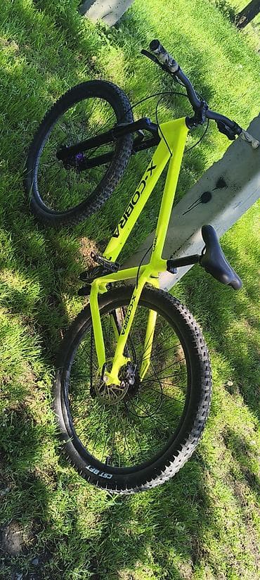 Велосипеддер: Тоо велосипеди, Велосипед алкагы M (156 - 178 см), Алюминий — 2