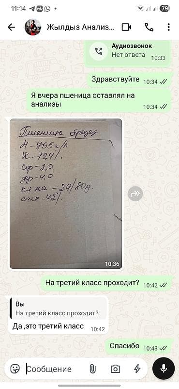 бургер кинг: Продаю пшеницу местная с анализами — 4
