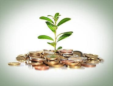 Ищу частные инвестиции под фиксированный доход. Ставка — от 15% до 25%