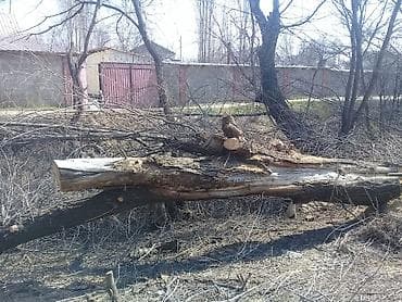 доска: Каражыгач,пиломатериал,дерево,доски!Или дрова для тандыра, бани — 1