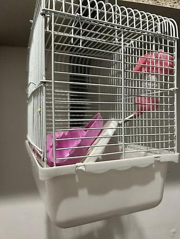 хомяки с клеткой: Клетка для мелких грызунов (хомяк, мышь, джунгарик) - Материал — 1