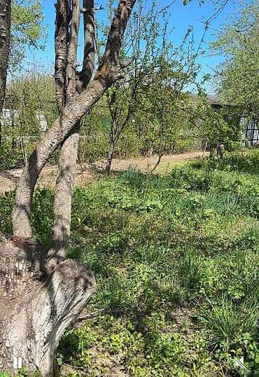5 соток, Для строительства, Договор купли-продажи, Красная книга, Тех паспорт at lalafo.kg 5 соток, Для строительства, Договор купли-продажи, Красная книга, Тех паспорт
